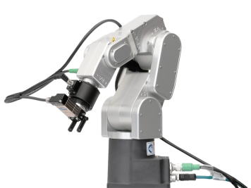 1685408947297 1685408947297