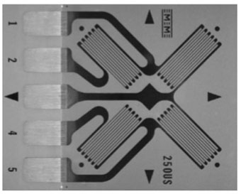 應(yīng)變計(jì)結(jié)構(gòu)